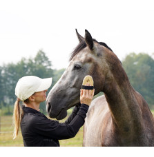 Szczotka Do Głowy i Relaksu LullaLove