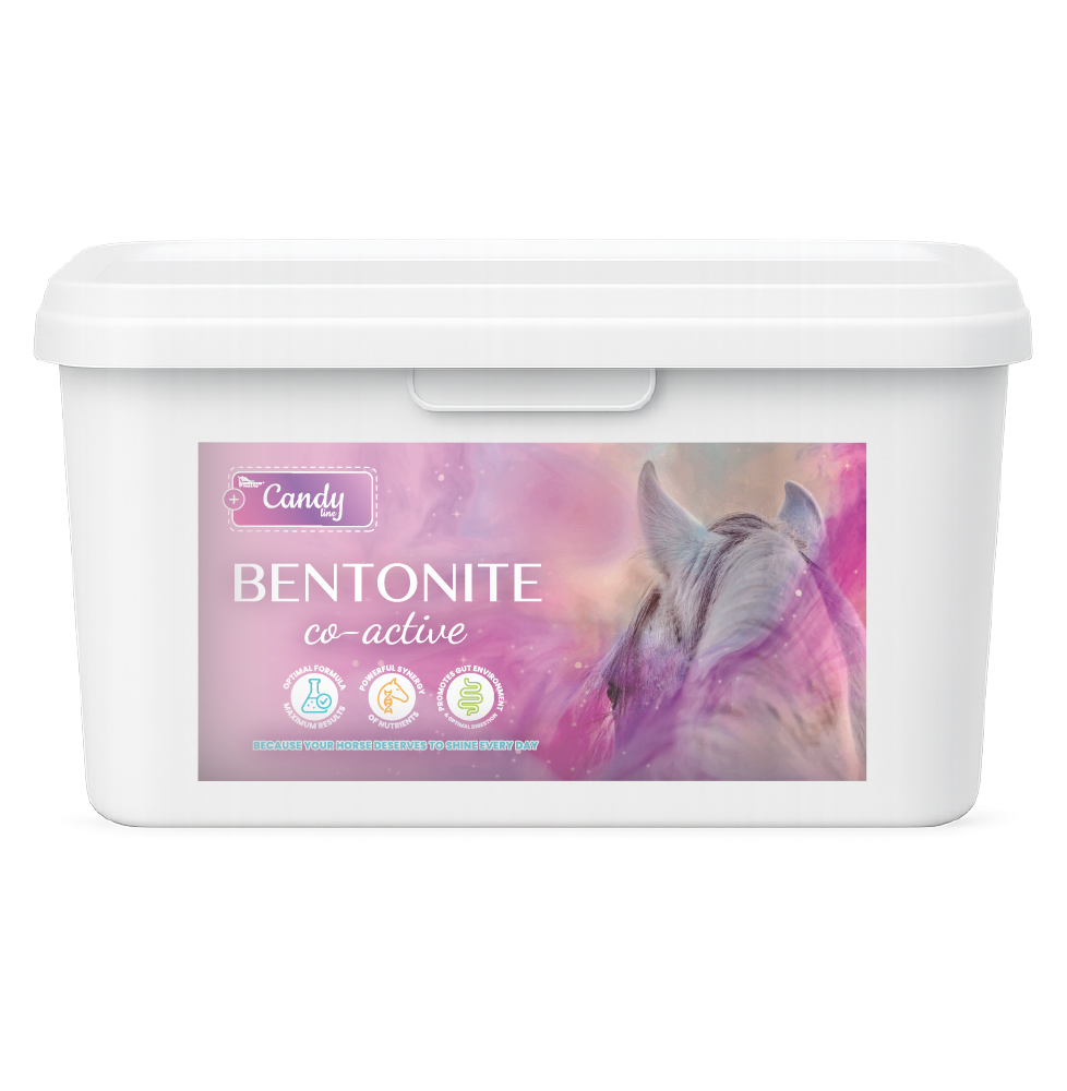 Bentonite Co-Active BIOFEED Horse & Pony Candy