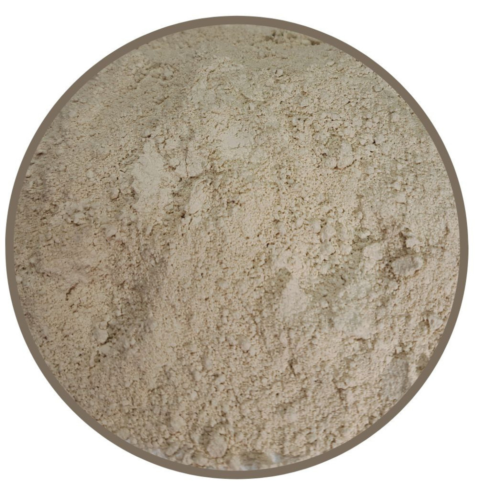 Sili Diat 600 g BIOFEED Horse & Pony
