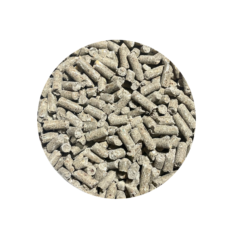 Hooves 900 g BIOFEED Horse & Pony