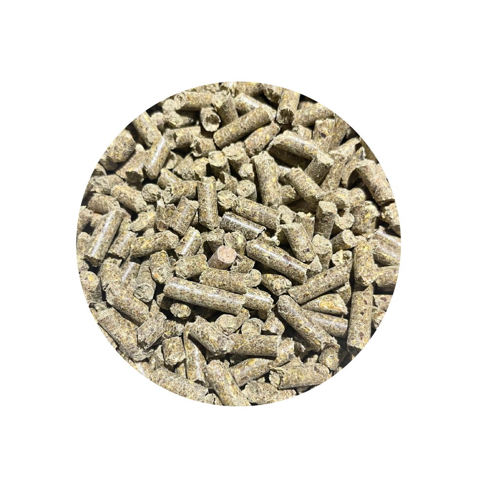 Respiration 900 g BIOFEED Horse & Pony