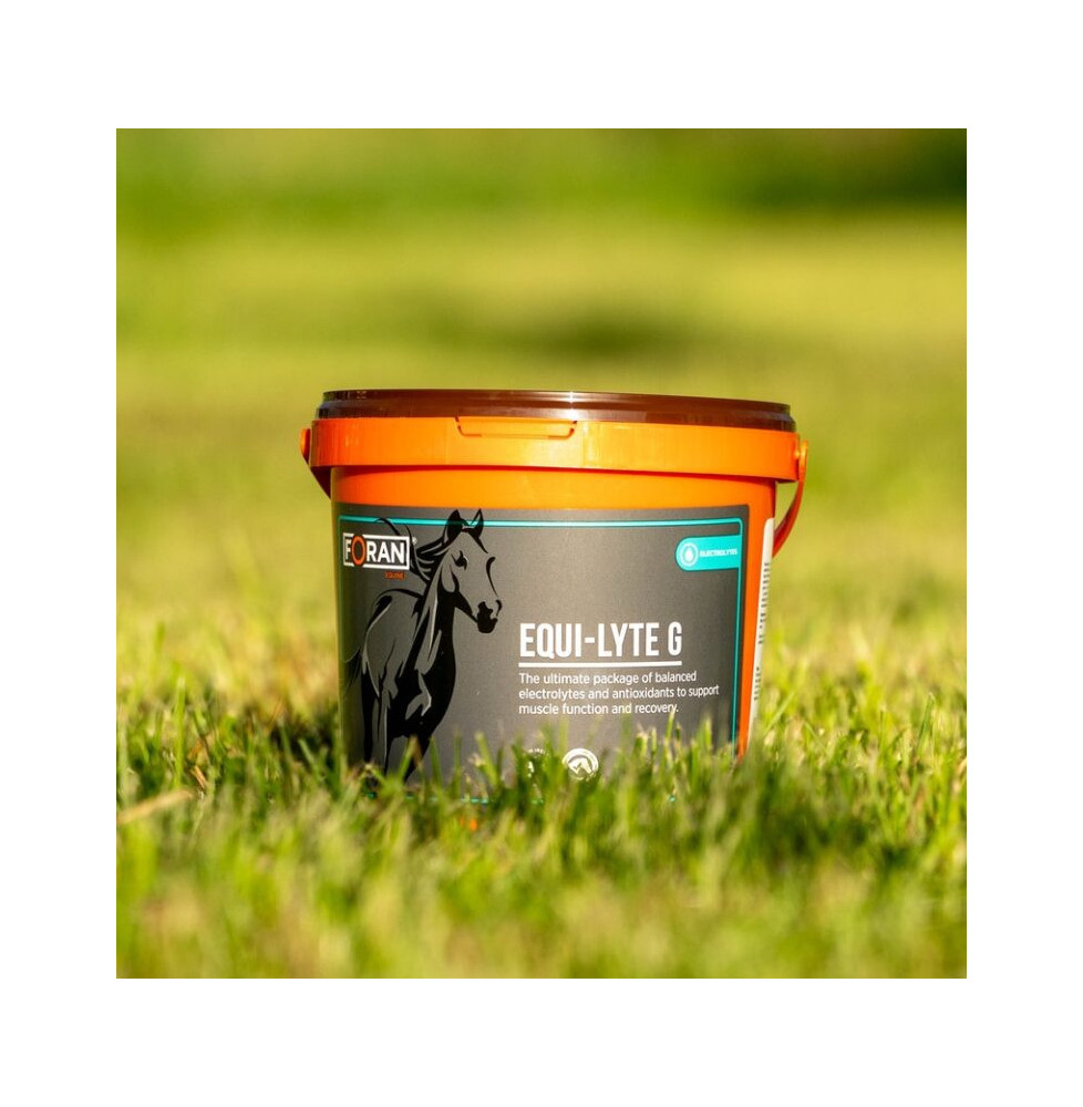 Equi-Lyte G elektrolity Foran