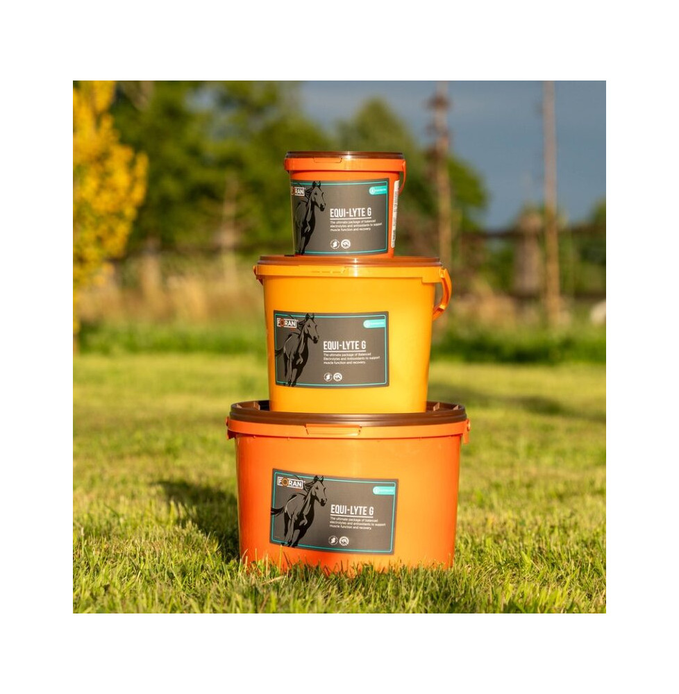 Equi-Lyte G elektrolity Foran