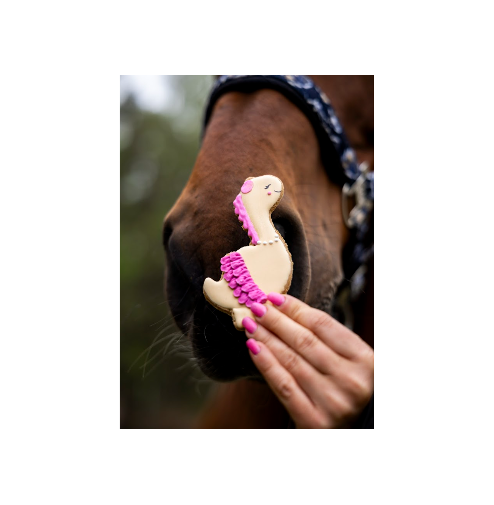 Ciastko Dino Stable Party 2026 Candy Horse