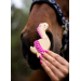 Ciastko Dino Stable Party 2026 Candy Horse