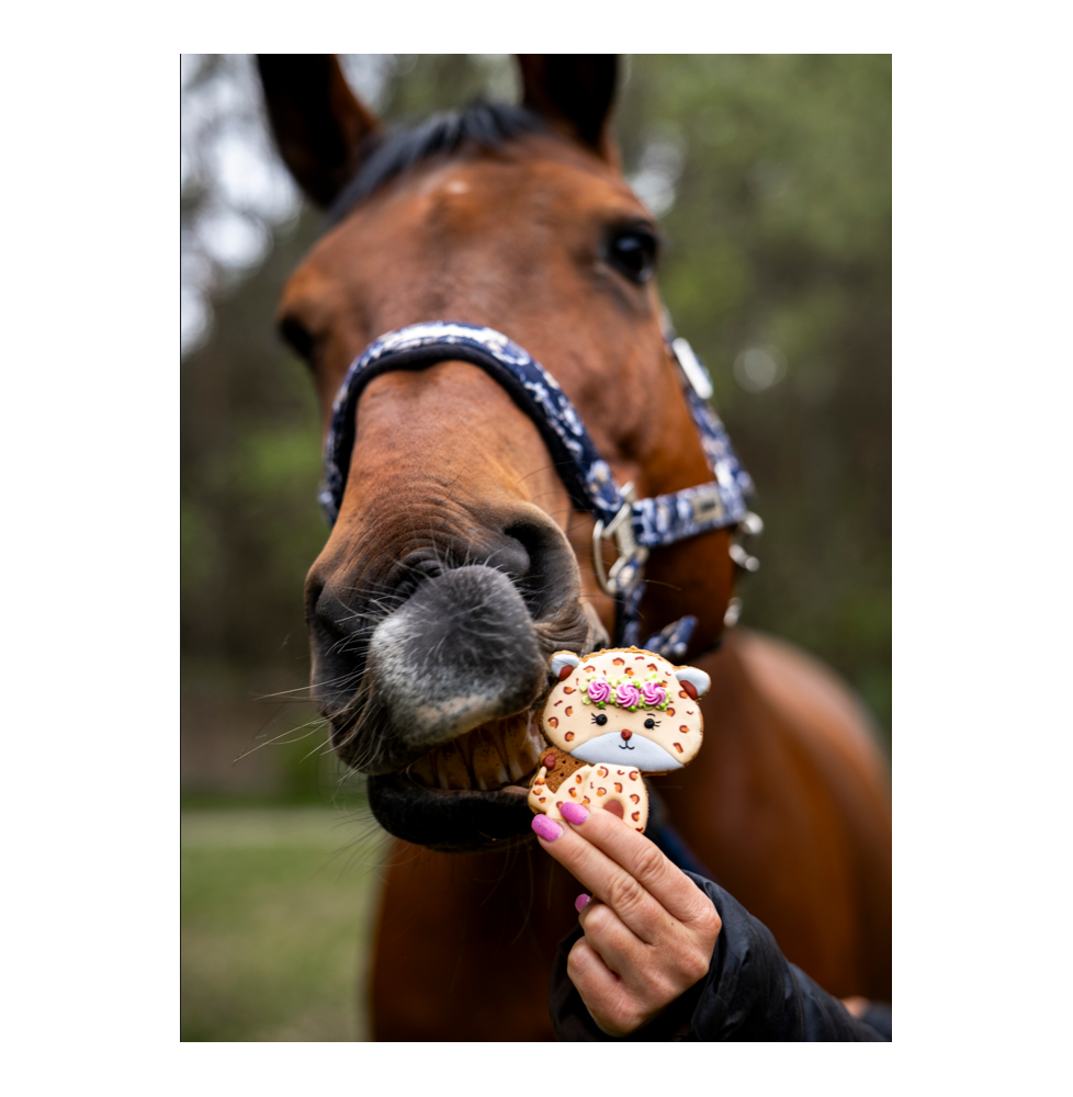 Ciastko Gepard Stable Party 2026 Candy Horse
