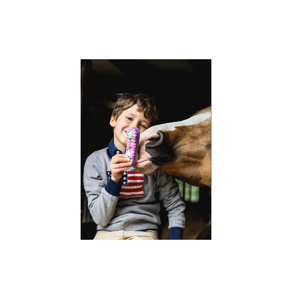 Ekler Stable Party 2026 Candy Horse