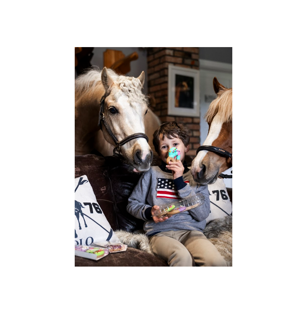 Precle Stable Party 2026 Candy Horse