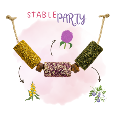 Gryzak "Impreza w Stajni" Stable Party 2026 Candy Horse