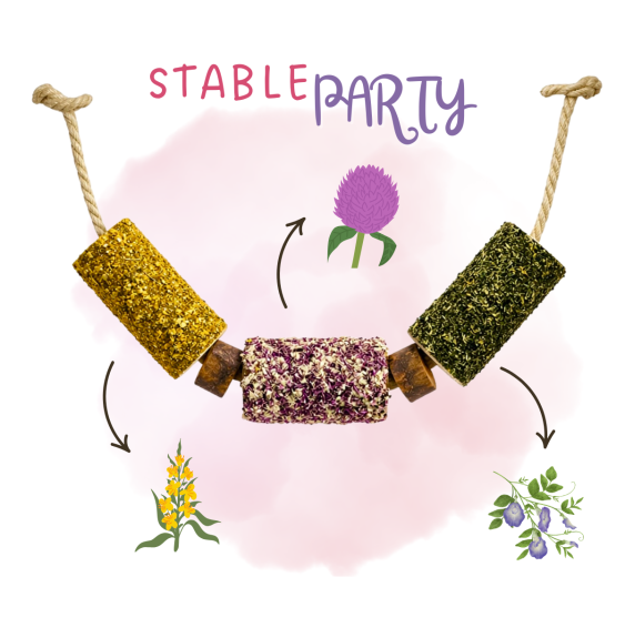 Gryzak "Impreza w Stajni" Stable Party 2026 Candy Horse