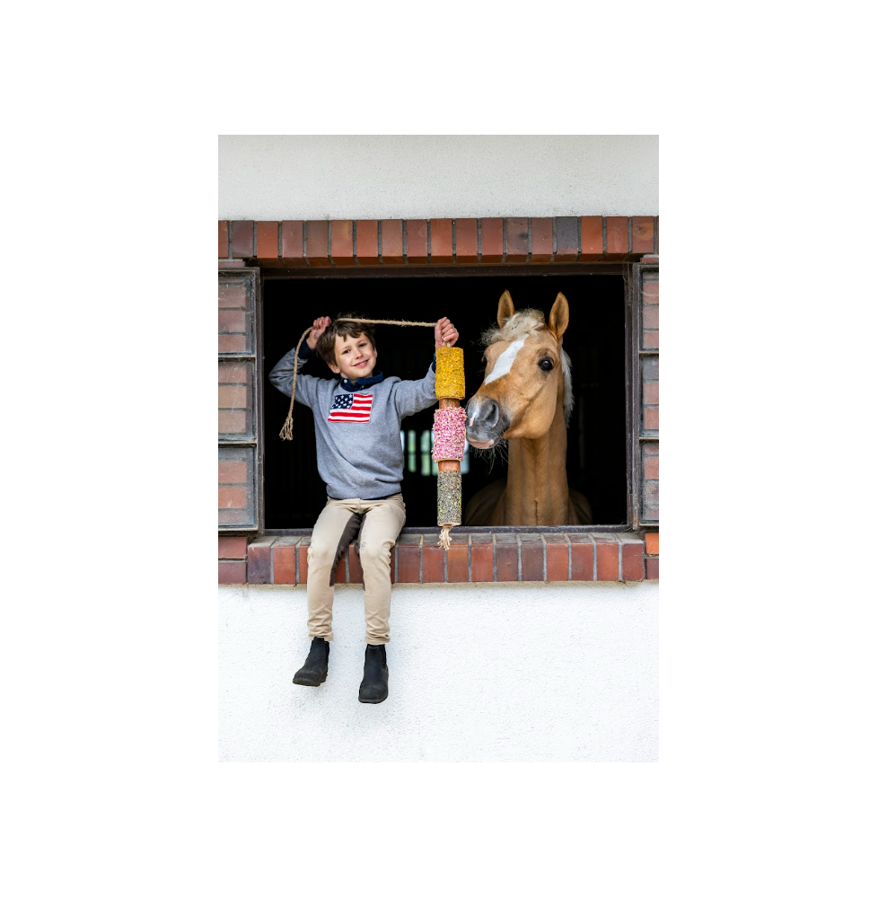 Gryzak "Impreza w Stajni" Stable Party 2026 Candy Horse