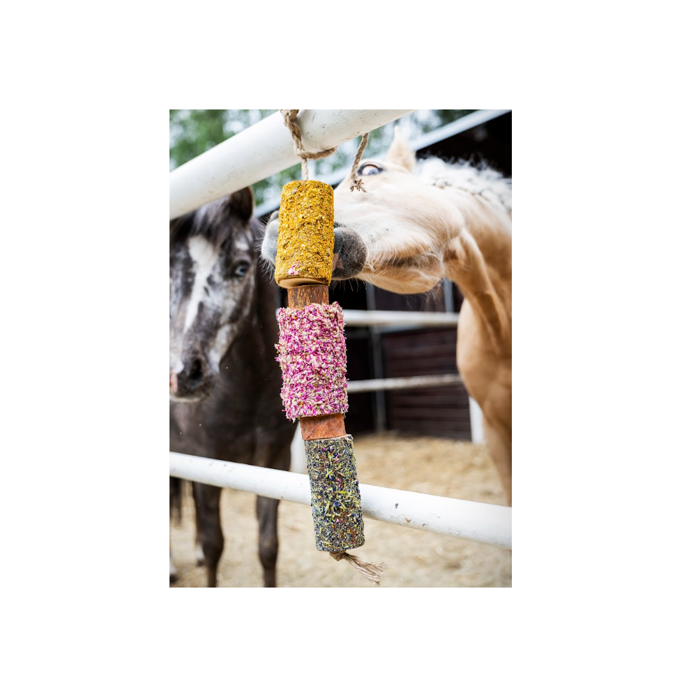 Gryzak "Impreza w Stajni" Stable Party 2026 Candy Horse