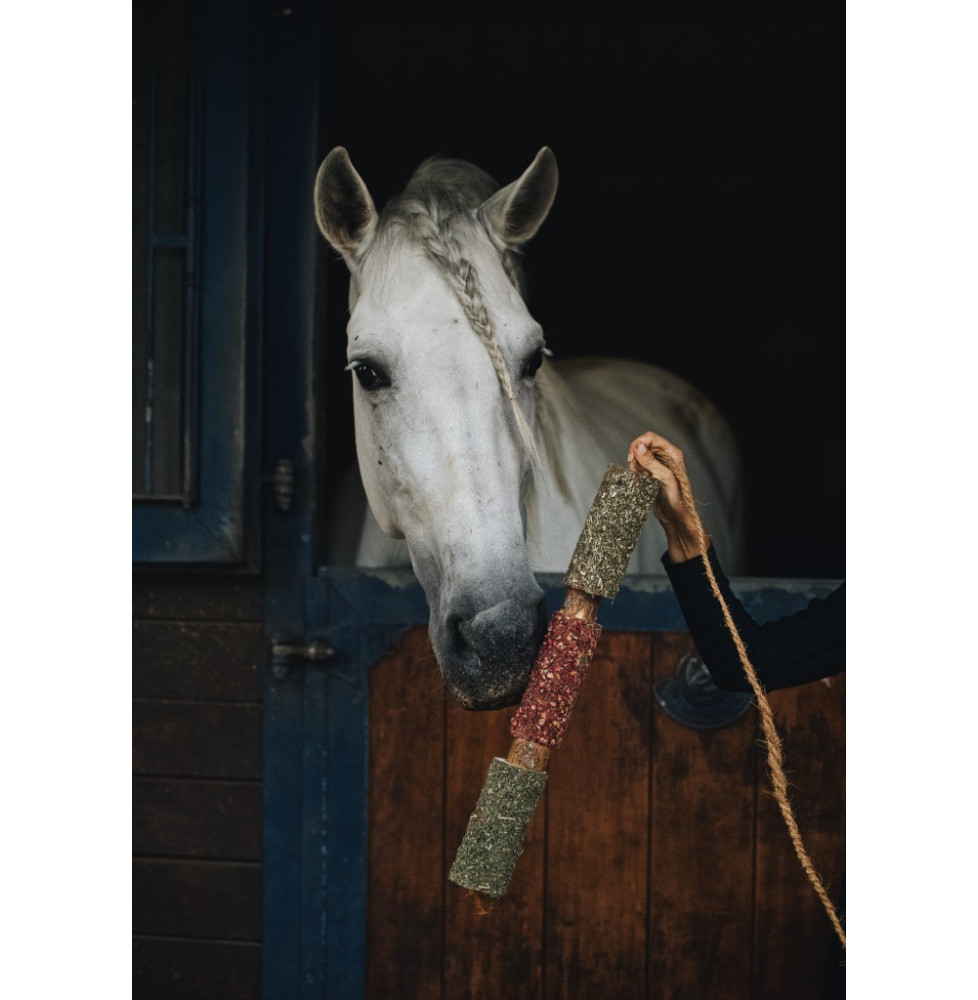 Gryzak "Odporność" Candy Horse