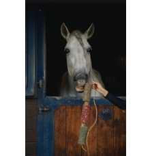 Gryzak "Odporność" Candy Horse