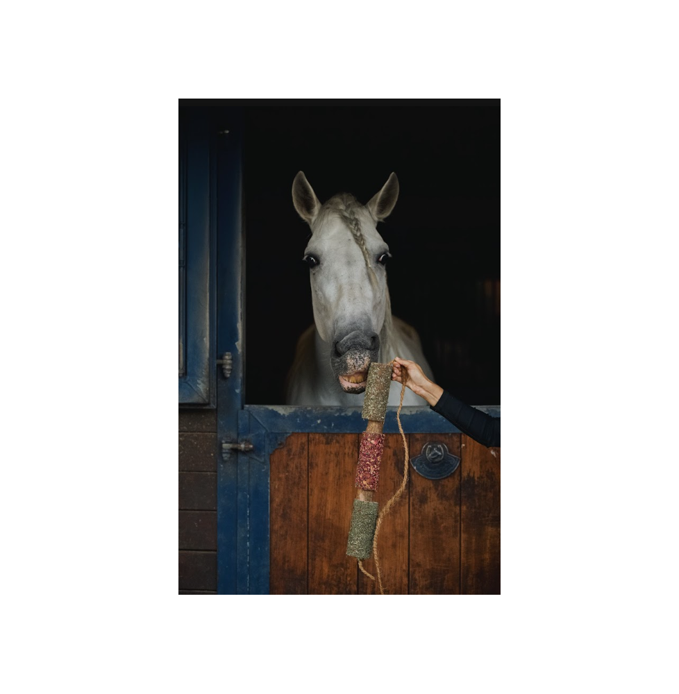 Gryzak "Odporność" Candy Horse