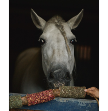 Gryzak "Odporność" Candy Horse