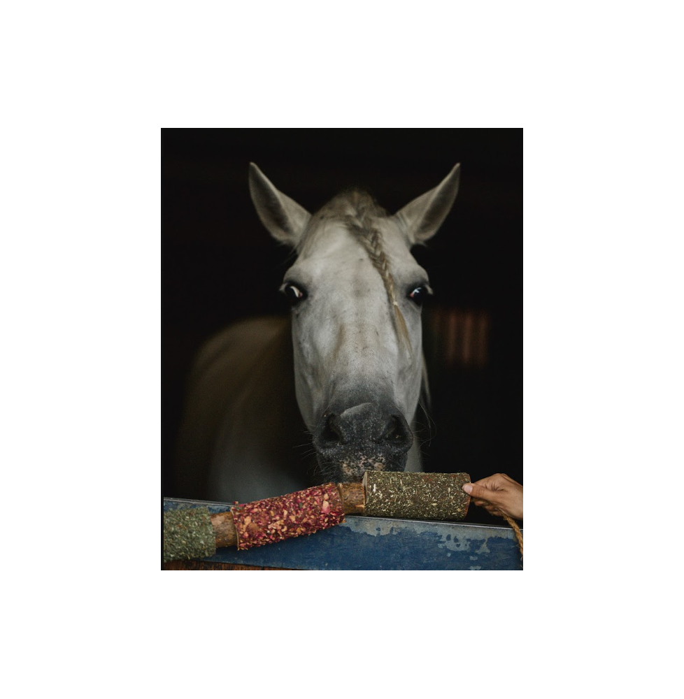 Gryzak "Odporność" Candy Horse