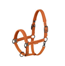 Kantar Faux Leather Jewel DP Amber Platinum 26 Eskadron