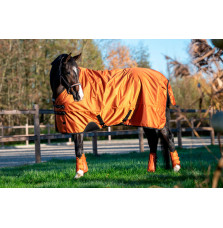 Ochraniacze 1200D Sparkle Amber Platinum 26 Eskadron