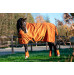 Ochraniacze 1200D Sparkle Amber Platinum 26 Eskadron