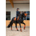 Ochraniacze 1200D Sparkle Amber Platinum 26 Eskadron