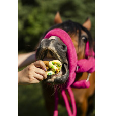 Precle Rainbow World 2026 Candy Horse