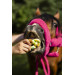 Precle Rainbow World 2026 Candy Horse