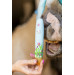 Paluchy Rainbow World 2026 Candy Horse