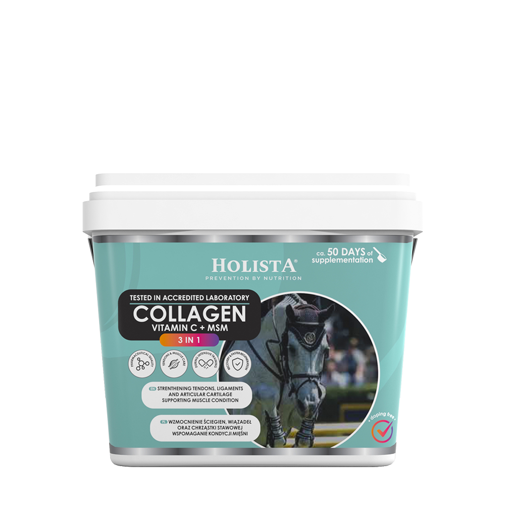 Kolagen 3w1 800g Holista Equine