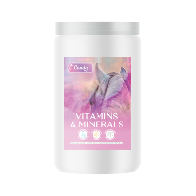 Vitamins & Minerals BIOFEED Horse & Pony