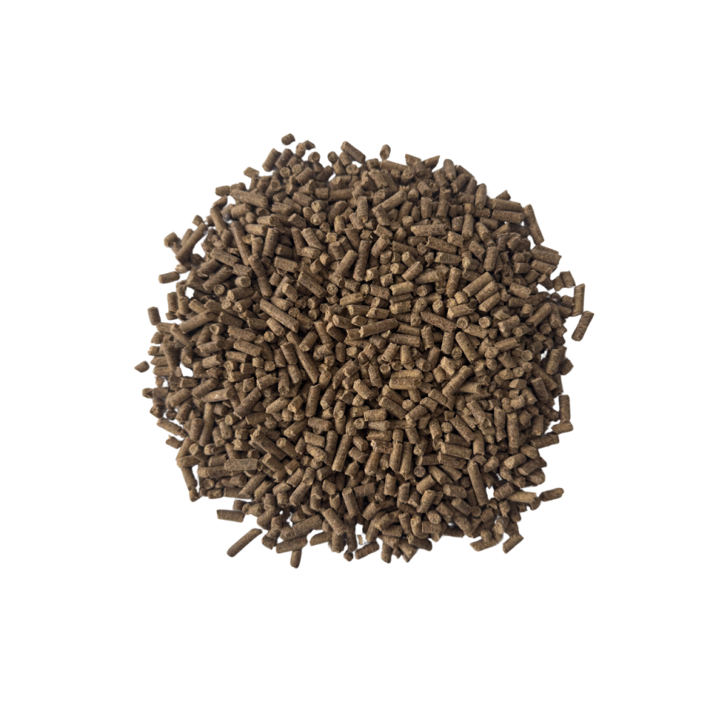 Vitamins & Minerals BIOFEED Horse & Pony