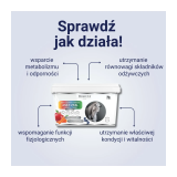 Witaminy Multi Vital Holista Equine