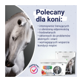 Witaminy Multi Vital Holista Equine