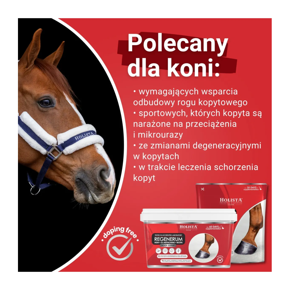 Hoof Expert Regenerum na Szybki Wzrost i Regeneracje Kopyt Holista Equine