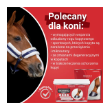 Hoof Expert Regenerum na Szybki Wzrost i Regeneracje Kopyt Holista Equine