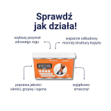 Biotin Forte Kompleksowe Wsparcie Kondycji Kopyt Holista Equine