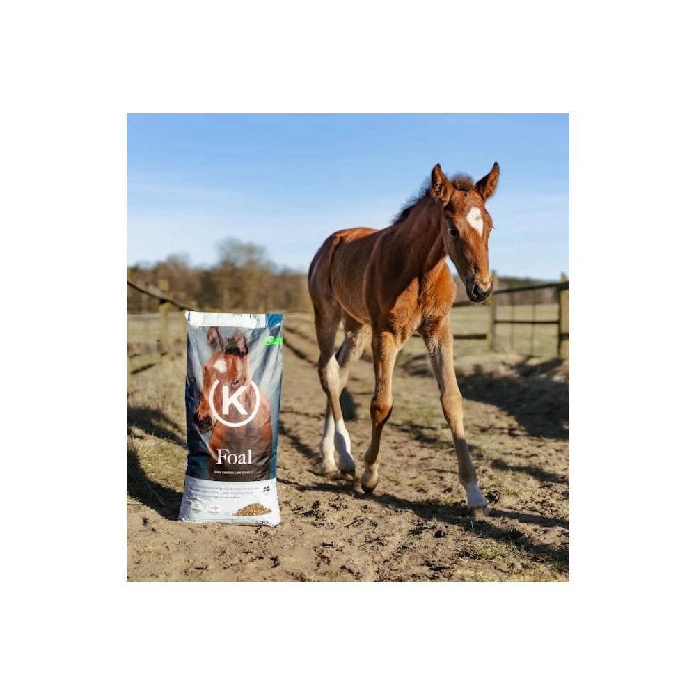 Pasza dla Źrebiąt Foal KRAFFT