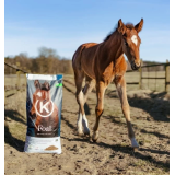 Pasza dla Źrebiąt Foal KRAFFT