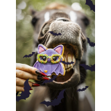 Ciastko Nietoperz Halloween | Candy Horse