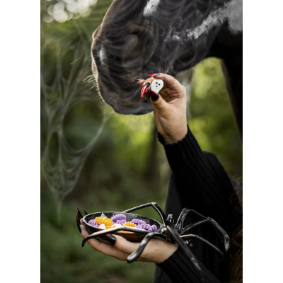 Smaczki dla konia - Beziki Halloween | Candy Horse