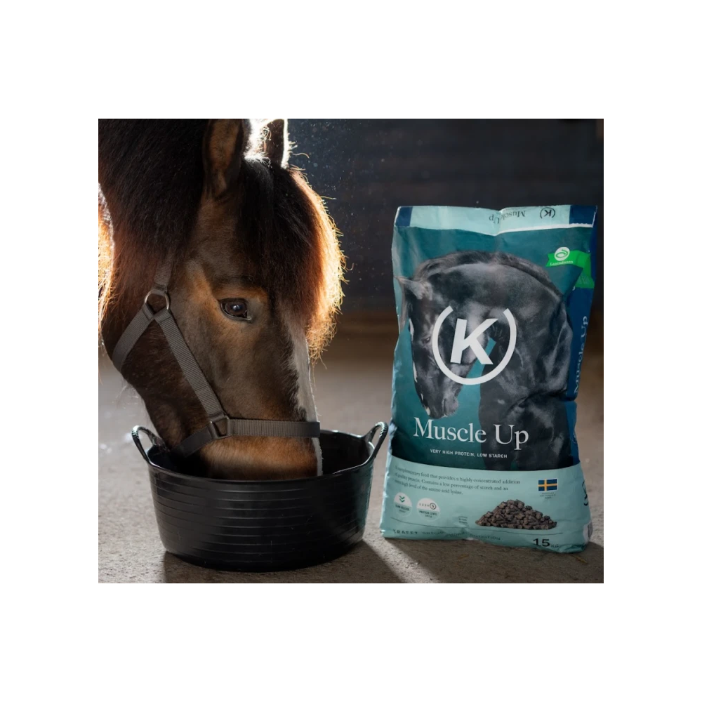 Koncentrat Muscle Up 15 kg KRAFFT | HiHorse