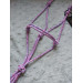 Halter Little Pony Favori Pet Shop
