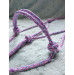Halter Little Pony Favori Pet Shop