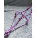 Halter Little Pony Favori Pet Shop