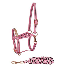 Zestaw Źrebięcy Kantar z Uwiązem Harry's Horse