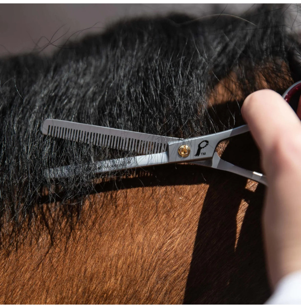 Nożyczki do Przerzedzania Grzywy Smart Grooming