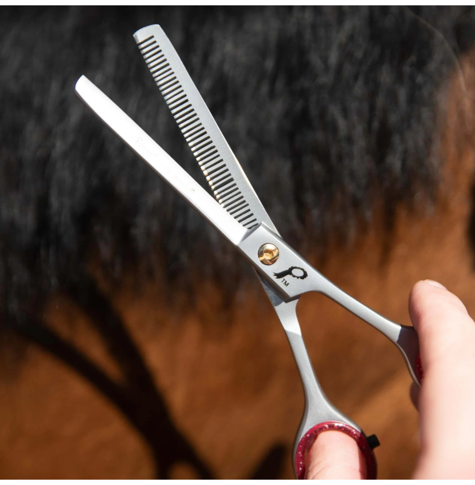 Nożyczki do Przerzedzania Grzywy Smart Grooming
