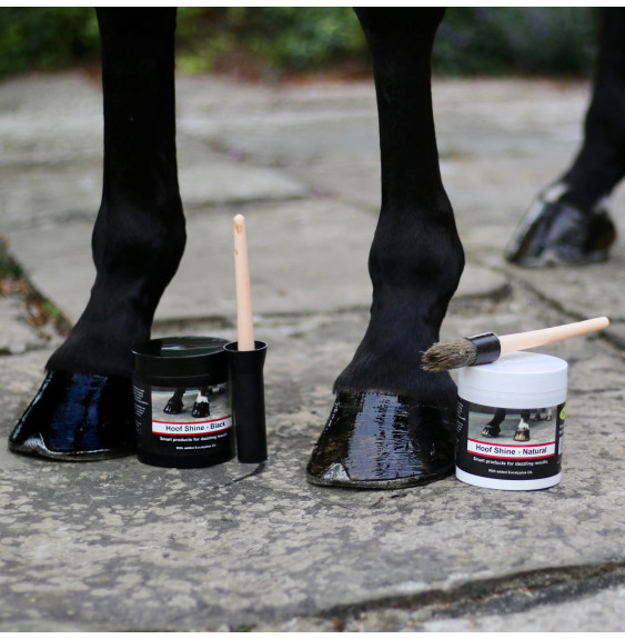 Smar do Kopyt Hoof Shine Smart Grooming
