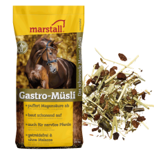 Pasza dla Koni Wrzodowych Gastro-Müsli Marstall