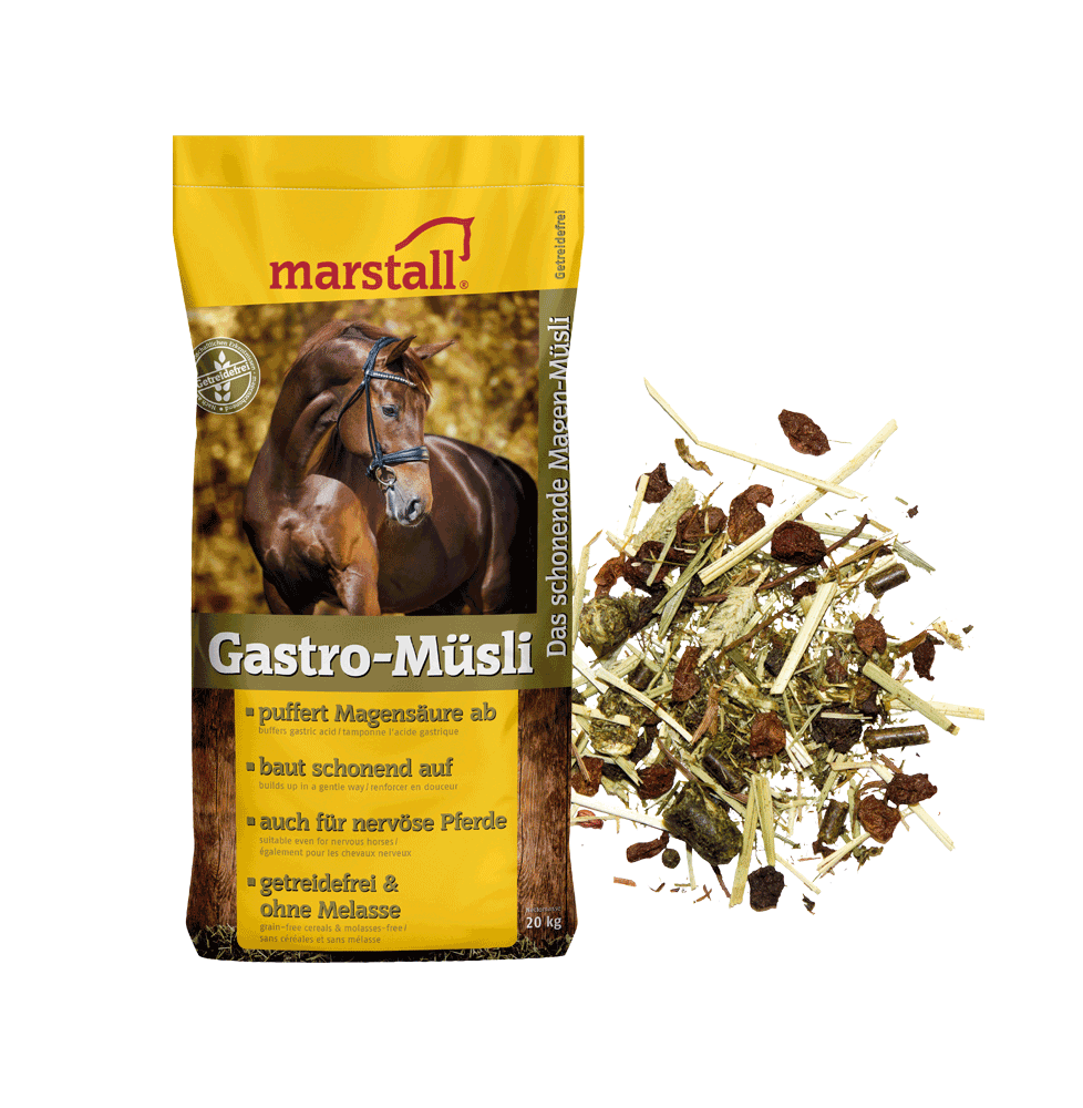Pasza dla Koni Wrzodowych Gastro-Müsli Marstall